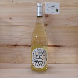 IGP BLANC GRAIN DE COCOTTE