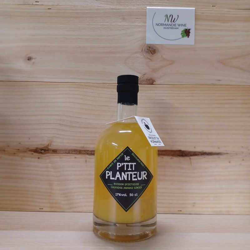 TERRES NORMANDES - LE P'TIT PLANTEUR ANANAS GINGER  50CL