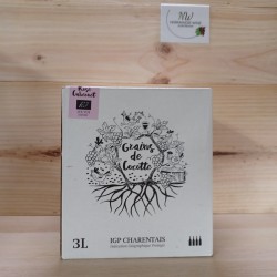 3L GRIS DE COCOTTE ROSÉ