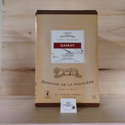 5L - GAMAY - DOMAINE DE LA POUNIERE