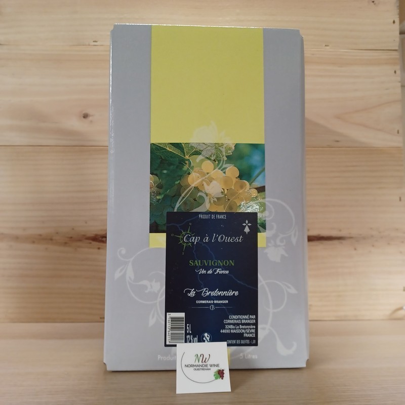 5L SAUVIGNON - CAP A L OUEST - CORMERAIS