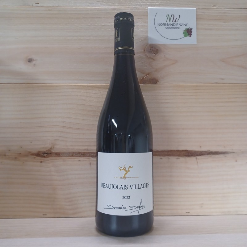BEAUJOLAIS VILLAGE - DOMAINE DUFOUR
