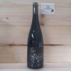 ANJOU VILLAGE - DOM. TROTTIERES / V. VIGNES