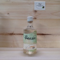 SPRING GARDEN - C'EST NOUS - SINGULIER